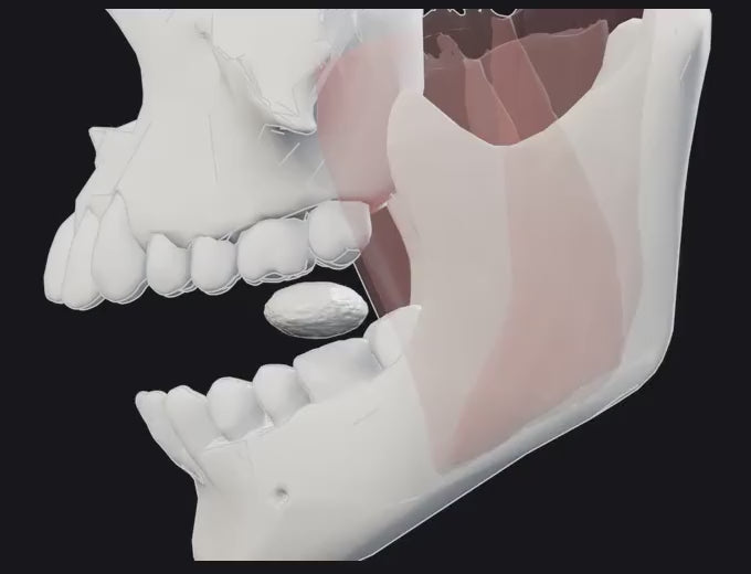 How to chew: force in the last millimetres, easy close then the squeeze (looping side view)