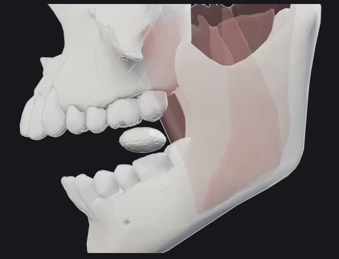 How to chew: force too early, the jaw stops short (looping side view)